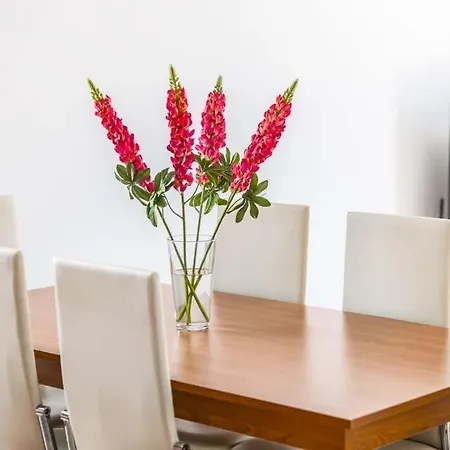 In Sleeps 6 Includes Swimming Pool Air Con And Wifi 1 5 8 Willa